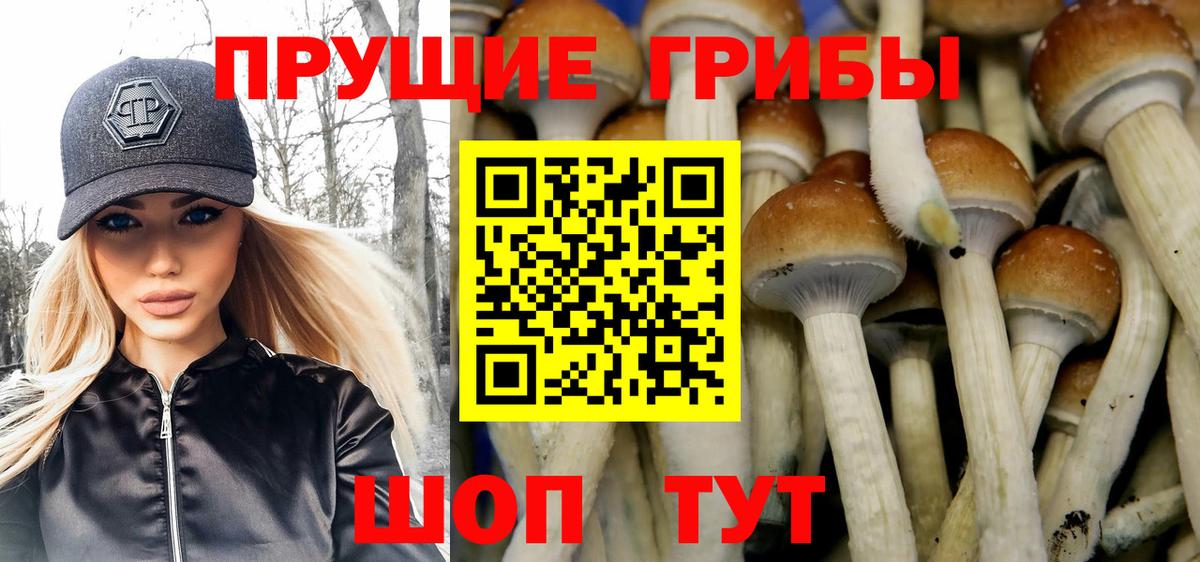 Псилоцибиновые грибы Cubensis  Вход с VPN  Барнаул  Псилоцибиновые грибы прущие грибы 